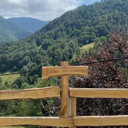 Typique Des Pyrenees *