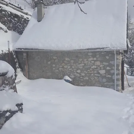 Typique Des Pyrenees Boutx
