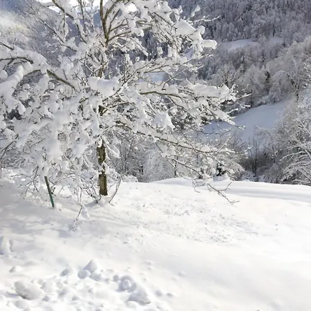 Typique Des Pyrénées * Boutx