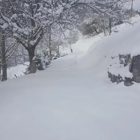 Typique Des Pyrénées Boutx
