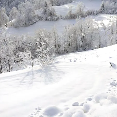 Typique Des Pyrénées Chalet *