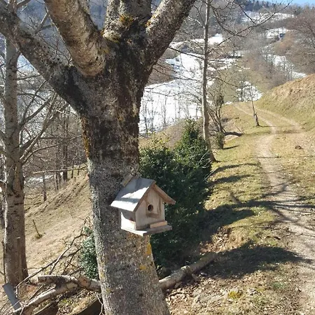 Typique Des Pyrénées Chalet *