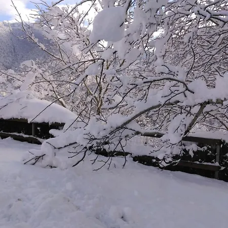Typique Des Pyrenees Boutx